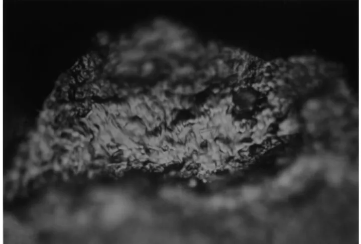 Figure 19. Experimental microwear polishes. (medium to hard worked materials) 