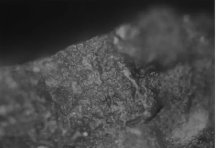Figure 13. Experimental microwear polishes. (medium worked materials) 