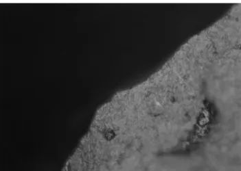 Figure 14. Experimental microwear polishes. (medium worked materials) 