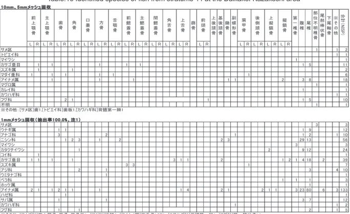 表 16　台囲風越地点 44 層魚類同定結果