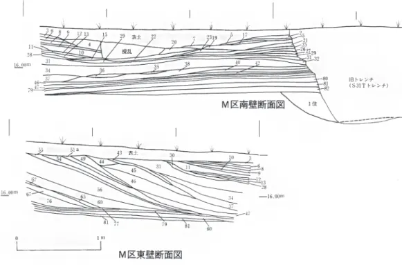 図 6　台囲風越地点 M 区セクション図（阿部・須田 1997）
