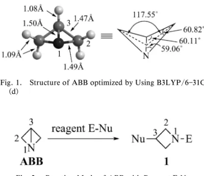Fig. 2. Reaction Mode of ABB with Reagent E-Nu 1-Azabicyclo [1.1.0] butane (ABB) bearing the highly strained bicyclic structure, which is synthetically useful forthe preparation of 3-substituted azetidines, was obtained by the cyclization of 2,3-dibromopro