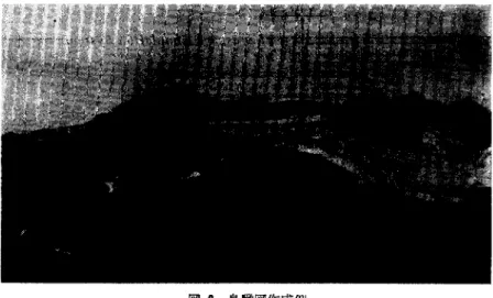 図 8 鳥敵図作成例 としているので視点が地上近くになるとその荒さが目立 ち満足のゆく結果は得られなくなる欠点がある. 両技法の長所・短所を考え合わせると，合成技法は景 観シミュレーションの必要性が高く，その評価地点が既 知である地点での利用が考えられ，用地部門などでの活 用が期待できる.また，テクスチャー 7 ッピング技法は， 試行錯誤性に富んでいるため設計部門などでの利用が考 えられる