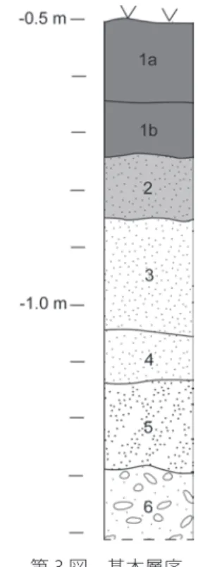 Fig. 3. Schematic stratigraphy