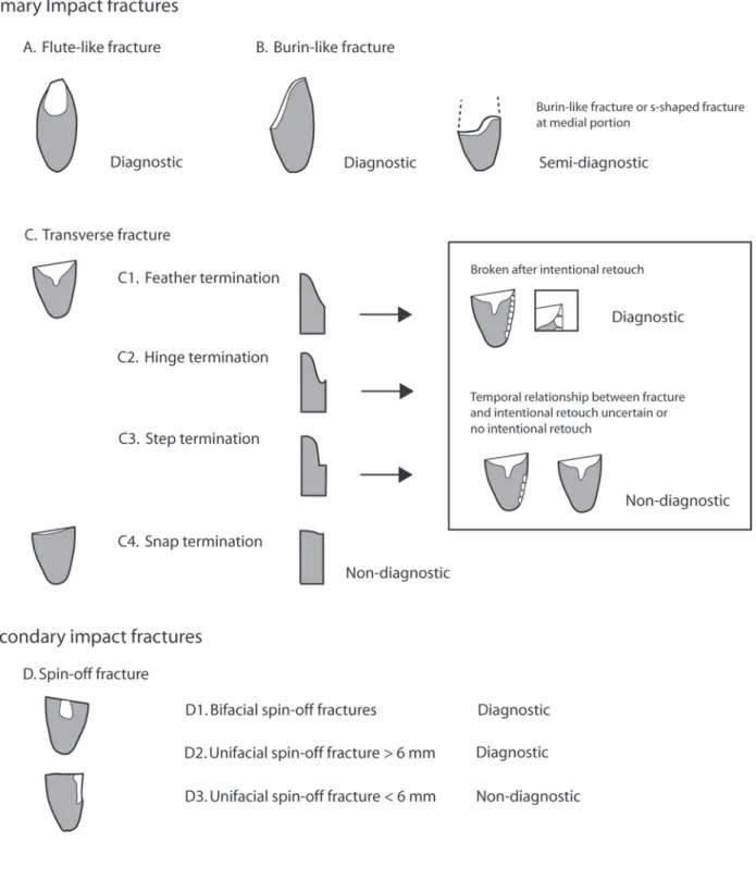 Fig. 5. Diagnostic impact fractures (Sano 2009)