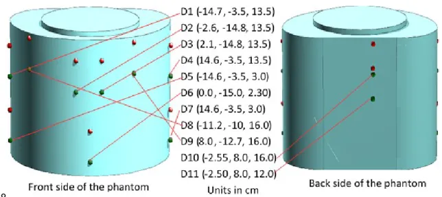 Fig. 1 Mathematical NEMA body phantom in Monte Carlo simulation with accurate and mis-located positions of the D-shuttle dosimeters (D) in the Cartesian co-ordinates; the green and red colors (points) show the accurate positions and the 5-cm shifted positi