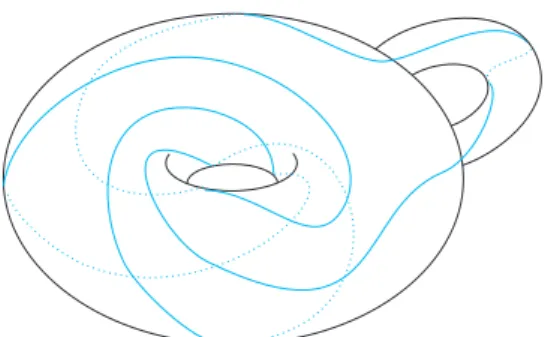 図      図             とよぶことにする． 予想（  ）  !    "  は   である．すなわち， !    "  は，  が構成した  のクラスのいずれかに属する．   この予想はともかくとして（重要だが難しい問題と思われる） ， !    "  の重要性はレンズ空間手術を許容することにあるといってよい．  定理 % !    "  に対して，その &amp;  による手術はレ ンズ空間を生成する．   前後したが， !    "  の &am