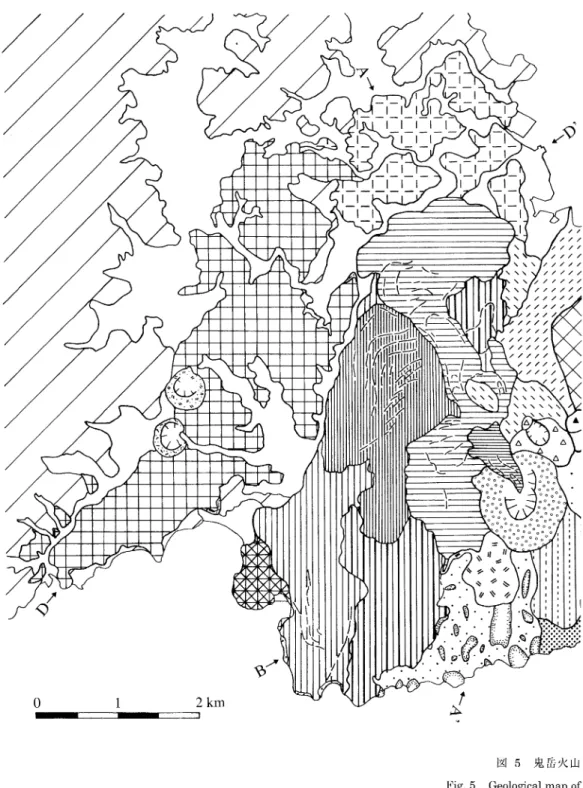Fig.  5  Geological  map  of
