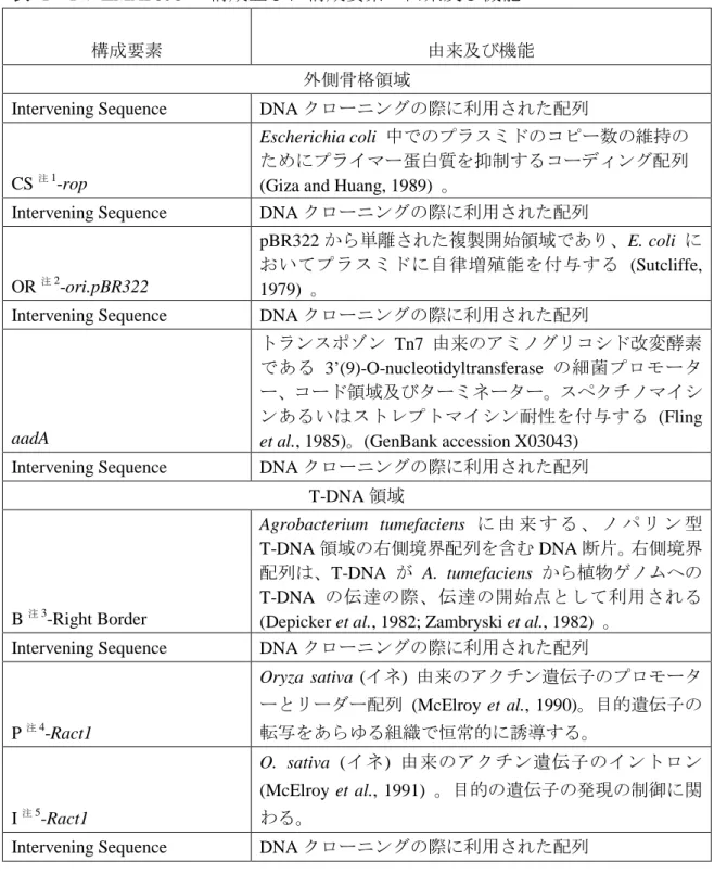 表  1  PV-ZMAP595 の構成並びに構成要素の由来及び機能 2