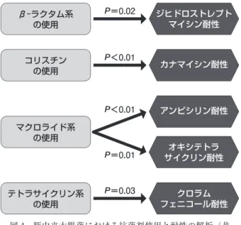図 4 豚由来大腸菌における抗菌剤使用と耐性の解析（共 選択）［16］ ：抗菌剤の使用による耐性の選択（P＜0.05）β-ラクタム系の使用 ジヒドロストレプトマイシン耐性P＝0.02P＝0.01コリスチンの使用カナマイシン耐性P＜0.01テトラサイクリン系の使用P＝0.03マクロライド系の使用アンピシリン耐性オキシテトラサイクリン耐性クロラムフェニコール耐性P＜0.01