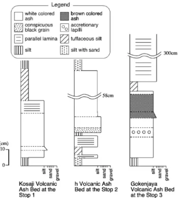 Fig.  5 . Geologic column of volcanic ash beds.