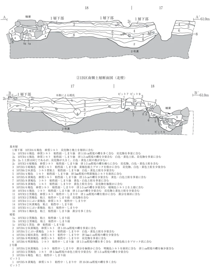 図 11　二の丸第 18 地点１・1B区の土層断面（１）