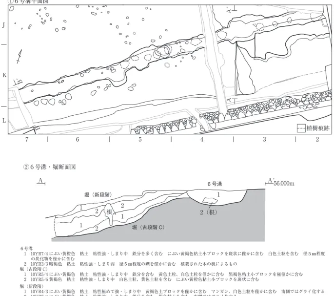 Fig. 21  Features of the Edo period at  BK16 (5)