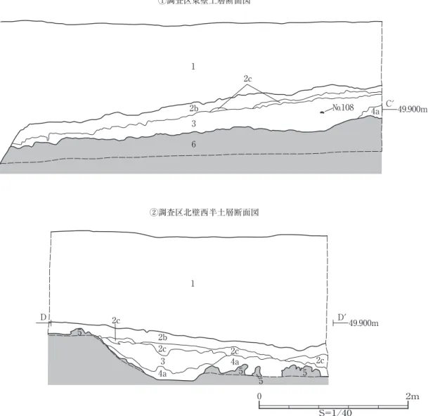 Fig. 6　Cross sections of TM9（2）