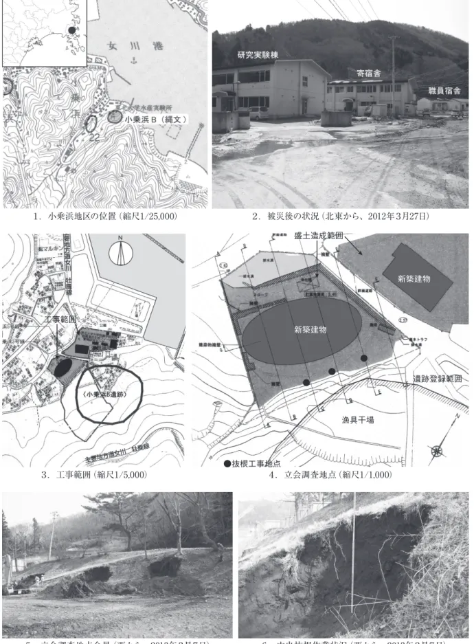 図 12　女川町小乗浜地区立会調査状況３．工事範囲（縮尺 1/5,000）工事範囲図 12　女川町小乗浜地区立会調査状況 ４．立会調査地点（縮尺 1/1,000）●抜根工事地点新築建物 新築建物盛土造成範囲漁具干場 遺跡登録範囲１．小乗浜地区の位置（縮尺1/25,000）３．工事範囲（縮尺1/5,000）５．立会調査地点全景（西から、2013年３月７日）６．中央抜根作業状況（西から、2013年３月７日）４．立会調査地点（縮尺1/1,000）２．被災後の状況（北東から、2012年３月27日） 図12　女川町小