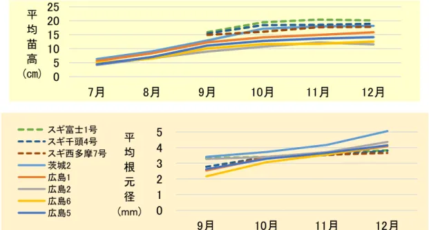 図 18 苗畑での実生苗の苗高（上）と根元径（下） （実線がコウヨウザン、点線がスギ）  f)コンテナ実生苗の育成  コンテナでの実生苗の生産は 300ml 容量のものを用いました。    ・コンテナ苗育苗施設  まき付け後の発芽時期が早いほど大きく成長し、1 年で山行き苗を生産することも 可能です。そのためのまき付け及びその後の管理は、ビニールハウスやガラス温室 など保温ができてミスト灌水設備が整った施設で実施することが有効です。    ・日覆い、換気  ビニールハウスの場合は、遮光率 40～50％程度の