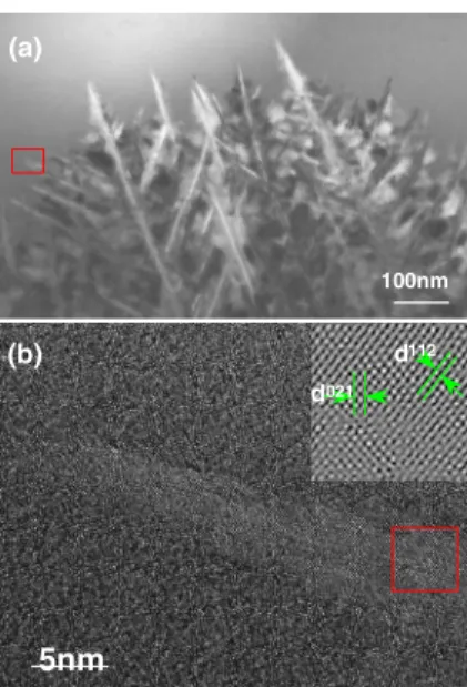 FIG. 1. 共 Color online 兲 Microstructure of annealed Pd 40 Ni 40 P 20 metallic glass. 共 a 兲 Bright-field TEM micrograph showing a heterogeneous dendrite crystal in an amorphous matrix and 共 b 兲 high-resolution transmission electron microscope 共 HRTEM 兲 imag