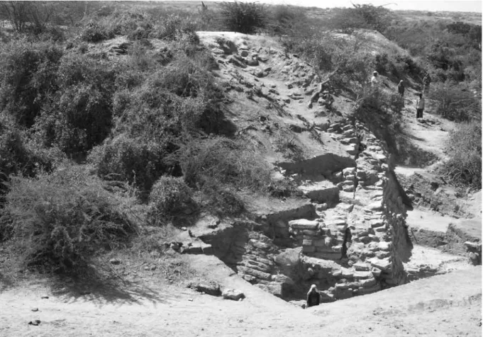 図 4　カーンメール遺跡北東調査区　石積周壁