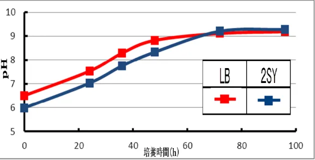 図 4  組み換え Brevibacillus 培養における 
