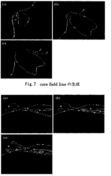 Fig. 8 core field line  の取り込み-