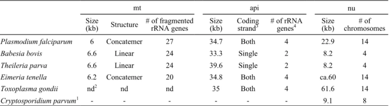 Table 1. Characteristics of mitochondrial (mt), apicoplast (api) and nuclear (nu) genomes of representative apicomplexans 