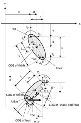 Figure 2. Two dimensional double pendulum model.をフォワードスイング前期，蹴り脚大腿エネルギーのピーク値直後から蹴り脚のボールインパクト直前までをフォワードスイング後期とし，フォワードスイング後期における下腿の力学的エネルギーの積分値を後期の大腿の力学的エネルギーの積分値で除すことにより，比率を算出した（1）．fEst＝EsEt(1)Estは大腿－下腿エネルギー比，Esは下腿における力学的エネルギーの積分値，Etは大腿における力学的エネルギーの積分値を表す．7