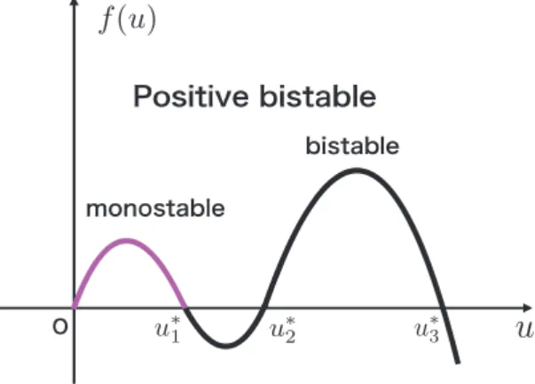 Figure 2 : Positive bistable term