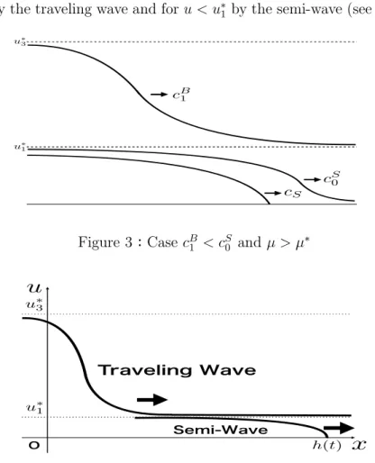 Figure 3 : Case  c_{1}^{B}<c_{0}^{S} and  \mu>\mu^{*}