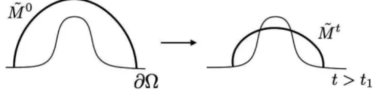 Figure 2: An example of the mean curvature flow with the right angle condition.