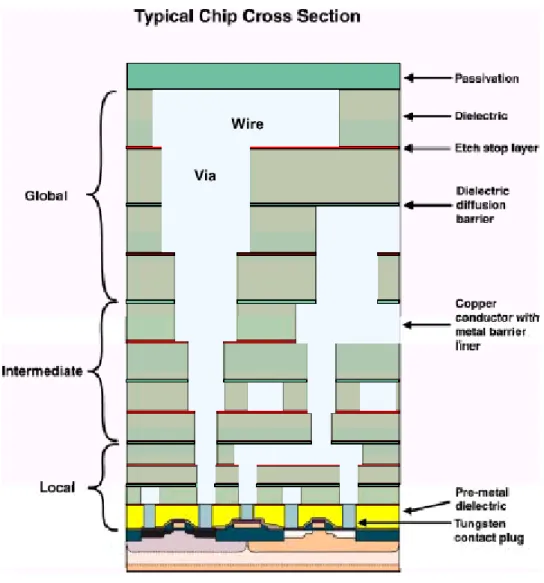 図 2 8 　 階 層 的 ス ケ ー リ ン グ の 断 面 図
