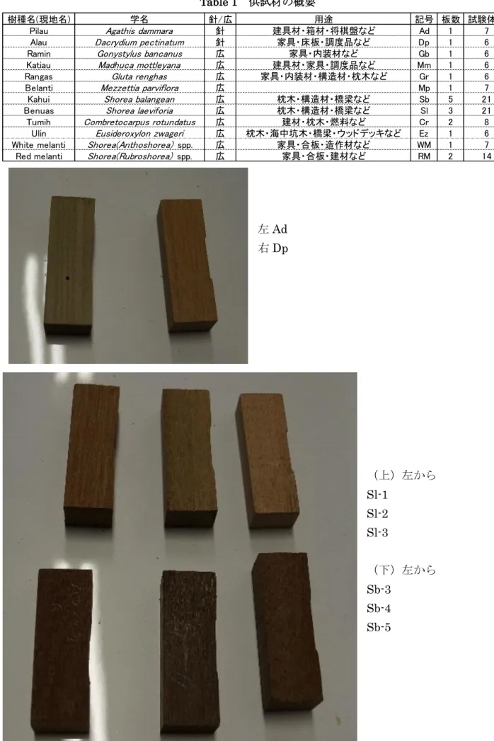 Table 1  供試材の概要  左 Ad  右 Dp  （上）左から  Sl-1  Sl-2  Sl-3  （下）左から  Sb-3  Sb-4  Sb-5 樹種名(現地名)学名針/広用途 記号 板数 試験体数
