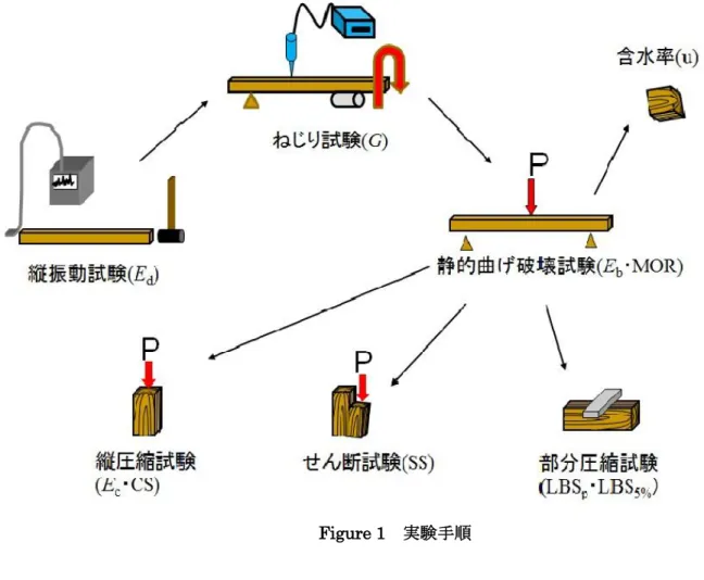 Figure 1  実験手順  (1)  縦振動試験  試験体を材軸方向からハンマーで叩き，材中を伝わる縦波を逆側に設置したマイクロホンでキャッ チする。キャッチした縦波をリオン社製 FFT アナライザーで解析して試験体の固有振動数を求め， 下記の式でヤング率を計算する。縦振動試験は動的試験の一種であり木材中を伝わる縦波によって 瞬間的に強度を測るため，木材の粘性流動を無視する。従って，求める動的ヤング率は値が大きく なる。 