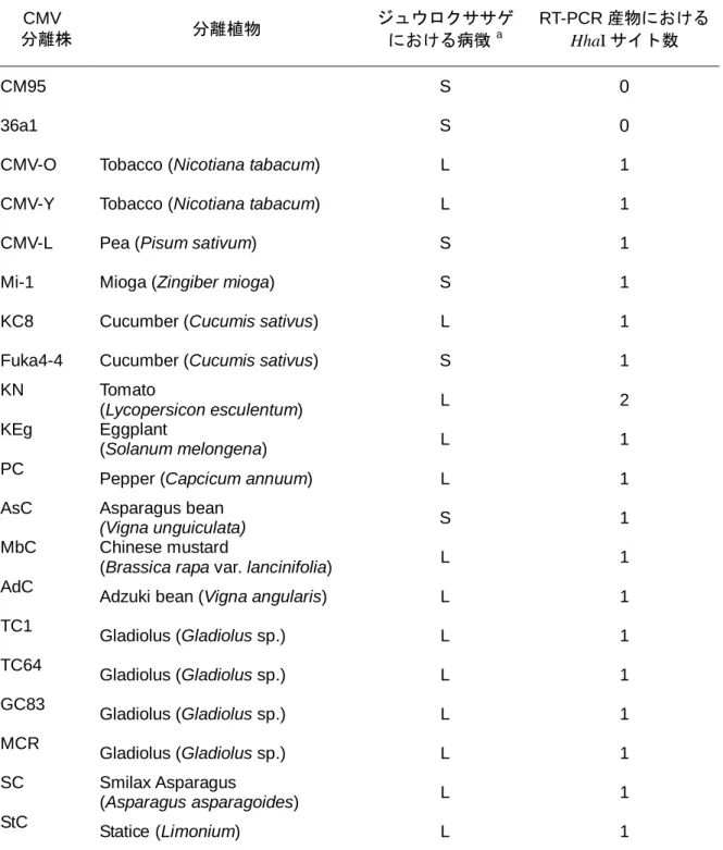 表  3-4  RT-PCR-RFLP による弱毒 CMV 株 CM95  および 36a1 と、強毒分離株  との 識別  CMV    分離株  分離植物  ジュウロクササゲにおける病徴  a RT-PCR 産物における HhaI サイト数  CM95  S  0  36a1  S  0 