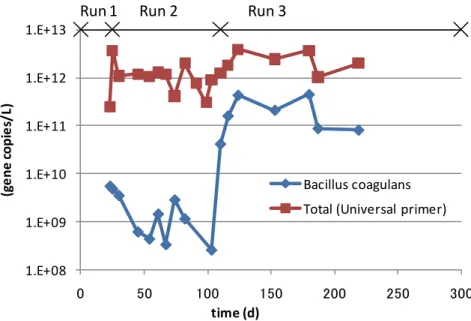 図 3.6  全菌および B. coagulans の 16S rRNA 遺伝子のリアルタイム PCR 法による測定結果  R² = 0.5494 (Total Bacillus spp.)R² = 0.9047(Bacillus coagulans) 02468101214 0 20 40 60 80 100B