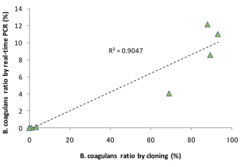 図 3.8  リアルタイム PCR 法による B. coagulans の割合と乳酸濃度の関係 