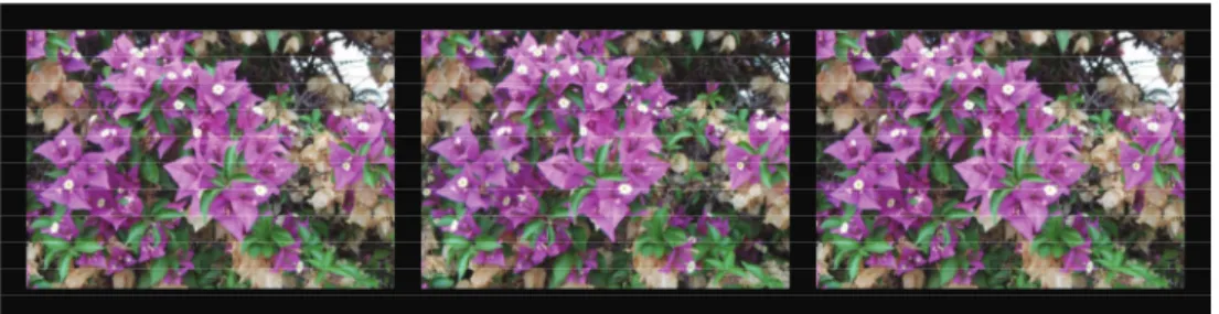 Figure 5: Example of the bad “Wow!” effect: lower part of the image is in front of the stereo window, but it is cut by the lower border of window frame that is behind
