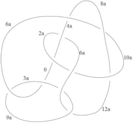 Figure 4: Non‐simple  \mathbb{Z} ‐coloring for  L10n32