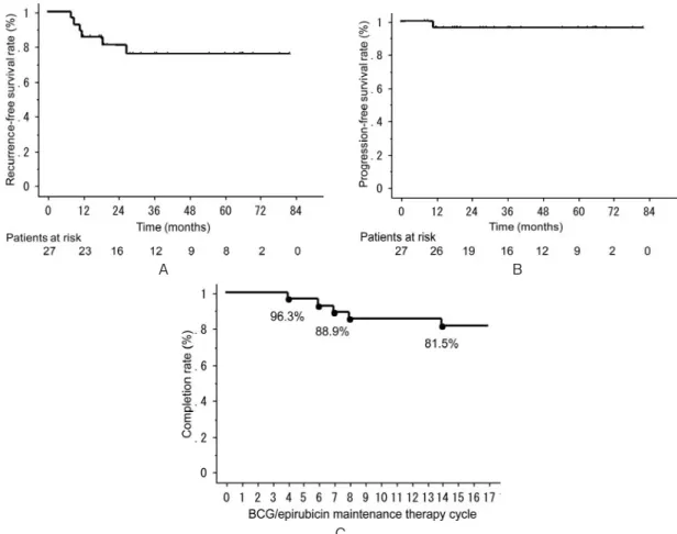 Fig. 2. Kaplan-Meier plots of (A) recurrence-free survival ; (B) progression-free survival ; (C) completion rate