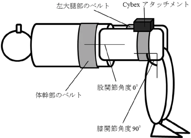 図 2.3  股関節屈曲運動課題 