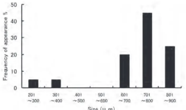 Fig. 1  Size of Pseudodactylogyrus spp. observed in the diseased glass eels.