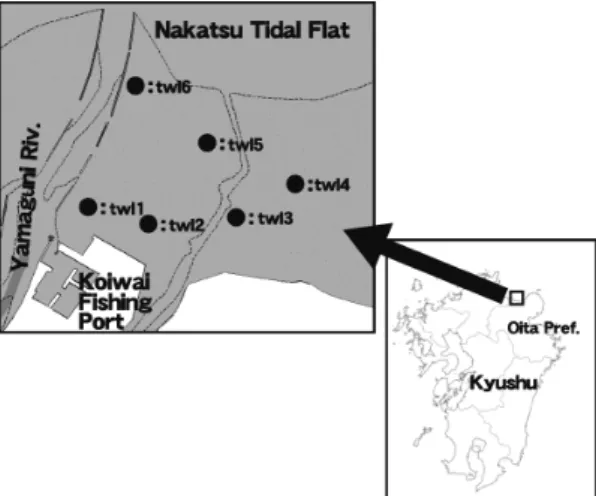Fig. 1　 Manila （Asari） clam sampling （with data loggers）,  stations Nakatsu tidal flat.