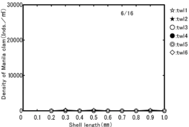 Fig. 8　 Density and shell length of Manila （Asari） clam, 16,  June 2015. 