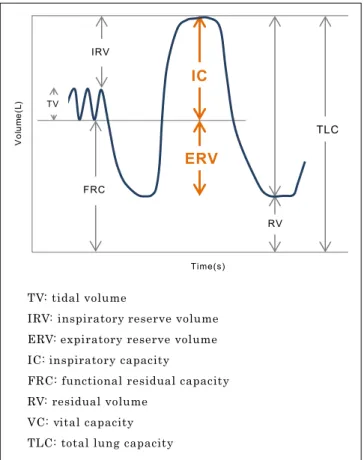Fig. 1 Lung volume compartment