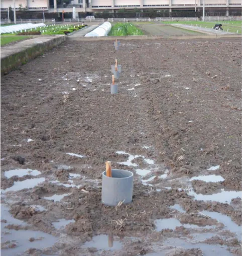 図 3  減水深測定風景 2