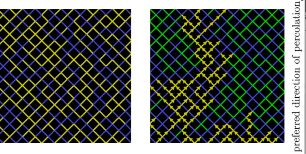 Figure 5: Examples of 2‐dimensional bond isotropic percolation (left panel) and (1+1) ‐dimensional bond directed percolation (right panel) on a diagonal square lattice having the same configuration