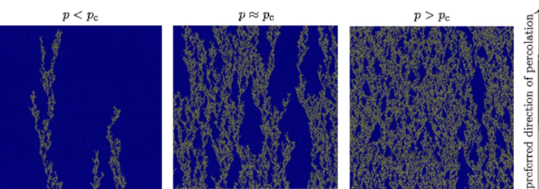 Figure 6: (1+1) ‐dimensional directed bond percolation starting from random conditions at the lower boundary.