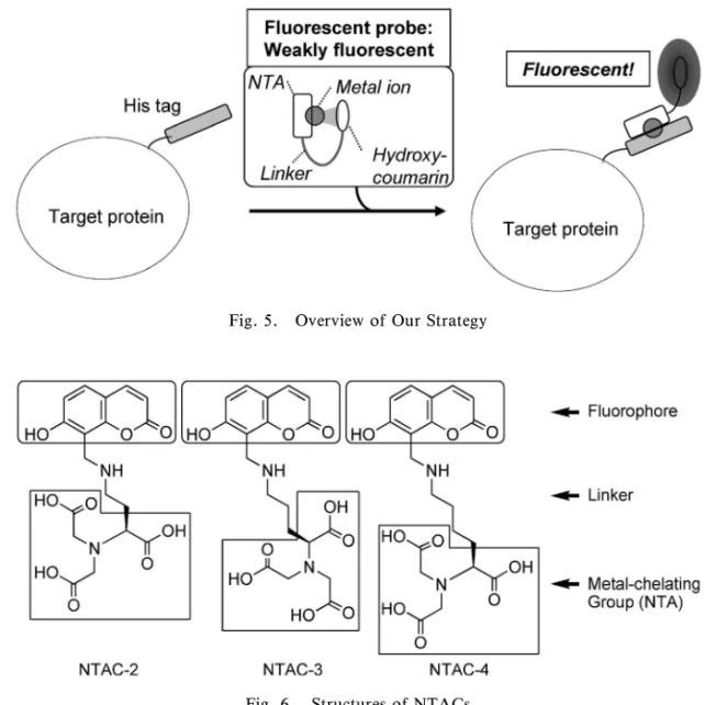 Fig. 5. Overview of Our Strategy