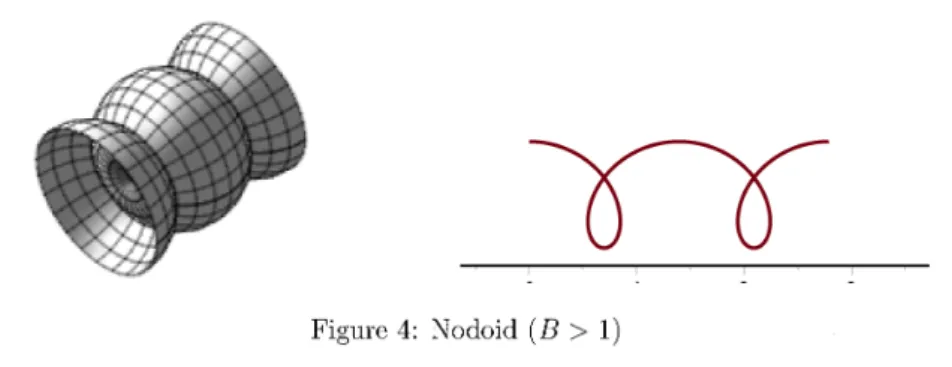 Figure 4: Nodoid (B> 1)