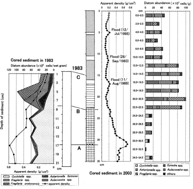 Fig.  6. Correlation between the core of 1983 and that of 2003 based on apparent density profile and diatom compositions
