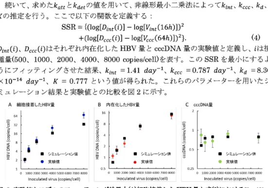 図 2: 実験値とモデルのフィ ッティ ング結果 | ④細胞接着した \mathrm{m}\mathrm{v} 量と式②における \mathrm{y}_{a\mathrm{t}\mathrm{t}}(0) 、 (B) 内在化した 1X\mathrm{V} 量と式(1) における V_{int}(16h) 、(C)cccDNA 量と式 (1) における V_{CCC}(64\mathrm{h}) をフィ ッティ ングさせた結果。 3